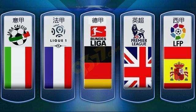 了职业运动