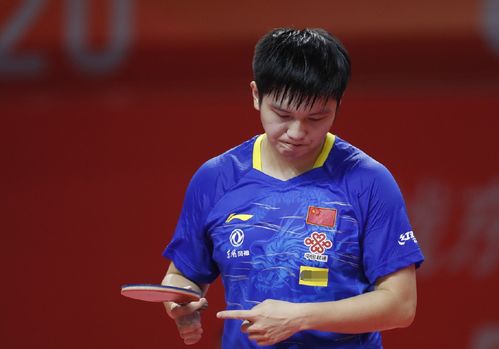 式回归团队 式回归团队